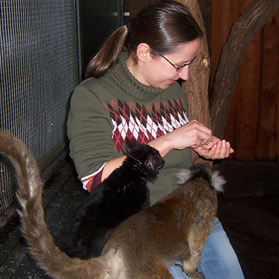Wildtiere streicheln und füttern